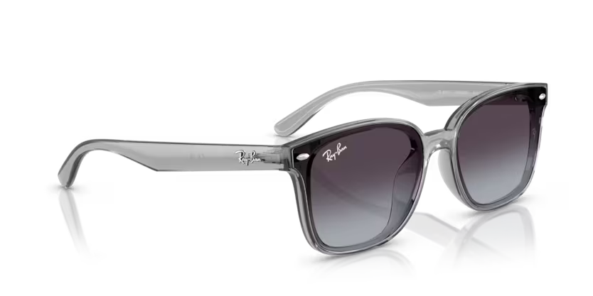 Ray-Ban 0RB4461D