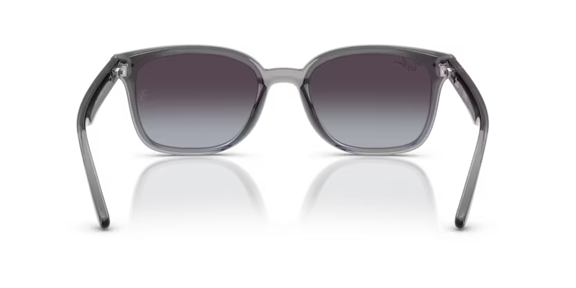Ray-Ban 0RB4461D