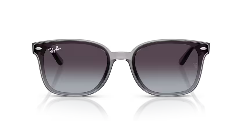 Ray-Ban 0RB4461D