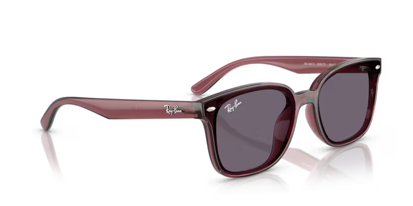 Ray-Ban 0RB4461D