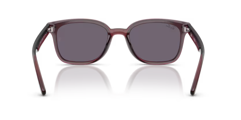 Ray-Ban 0RB4461D