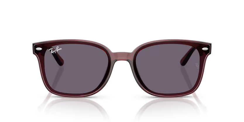 Ray-Ban 0RB4461D