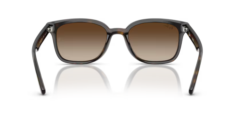 Ray-Ban 0RB4461D