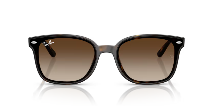 Ray-Ban 0RB4461D