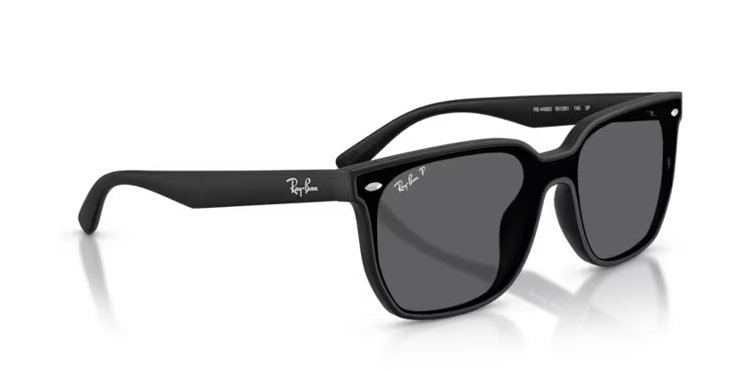 Ray-Ban 0RB4466D