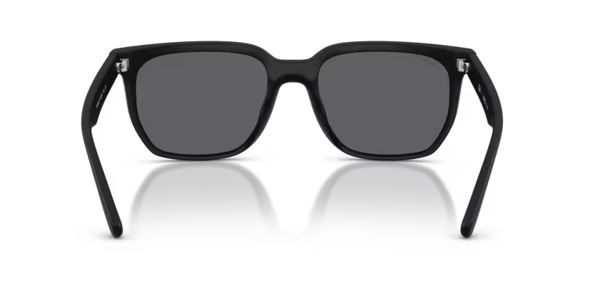 Ray-Ban 0RB4466D