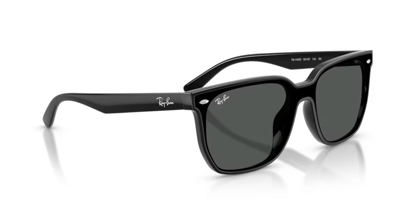 Ray-Ban 0RB4466D