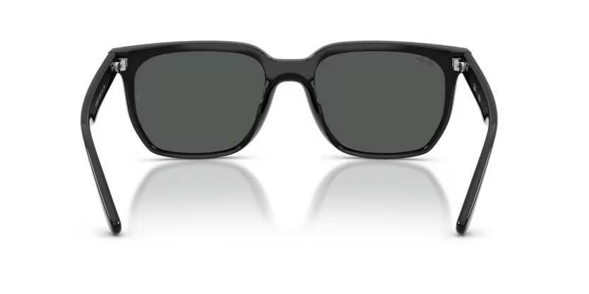 Ray-Ban 0RB4466D
