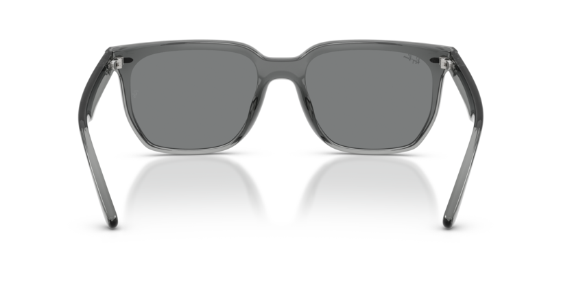 Ray-Ban 0RB4466D