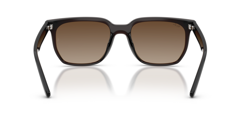 Ray-Ban 0RB4466D