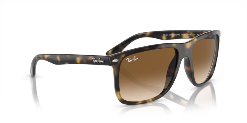 Ray-Ban 0RB4547