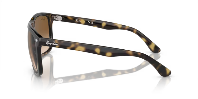 Ray-Ban 0RB4547
