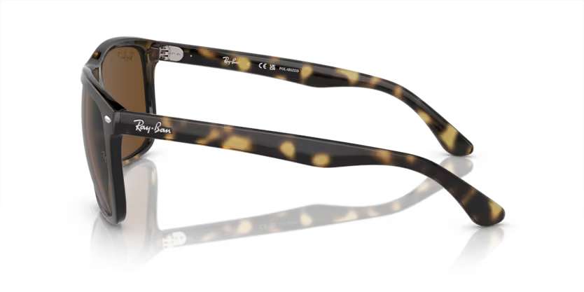 Ray-Ban 0RB4547