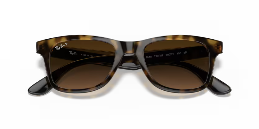 Ray-Ban 0RB4640