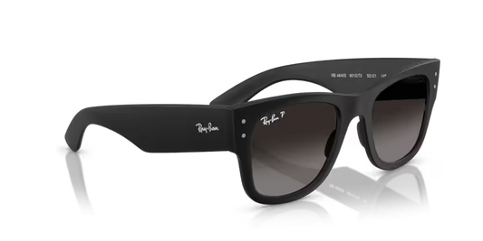 Ray-Ban 0RB4840S