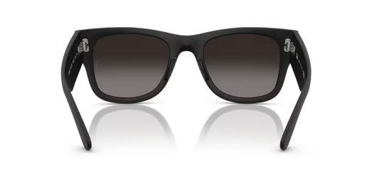 Ray-Ban 0RB4840S