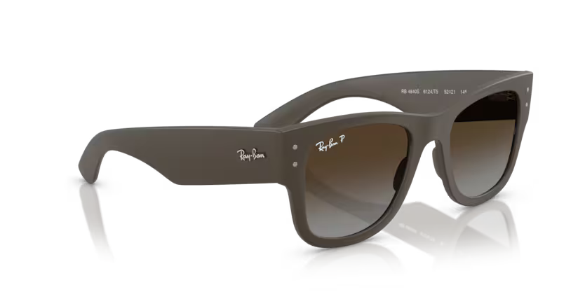 Ray-Ban 0RB4840S