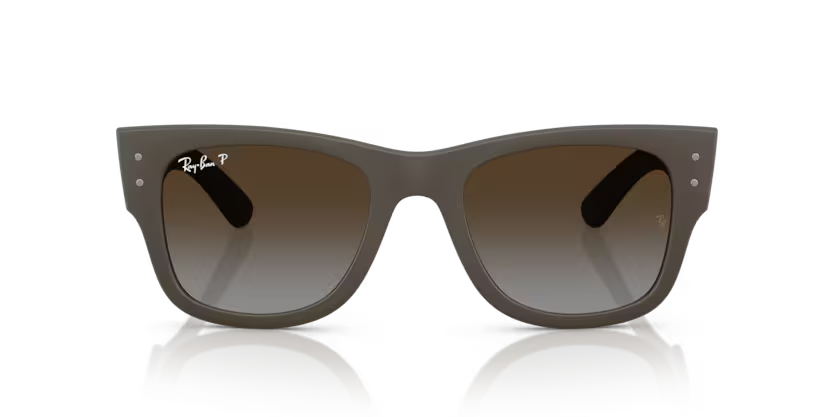 Ray-Ban 0RB4840S