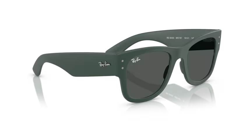 Ray-Ban 0RB4840S