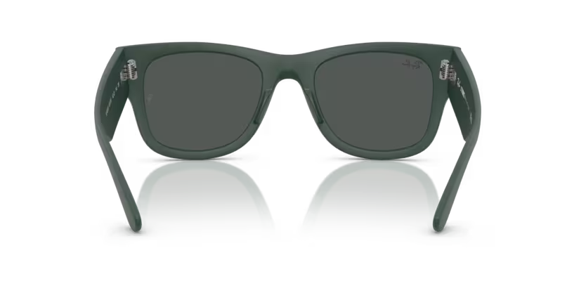 Ray-Ban 0RB4840S
