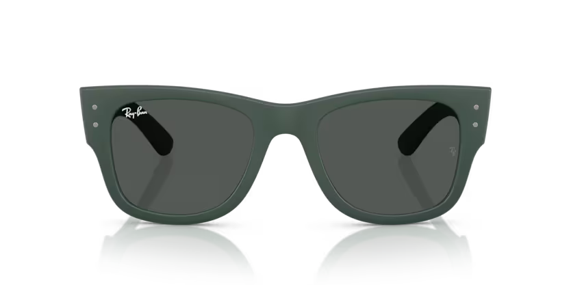 Ray-Ban 0RB4840S