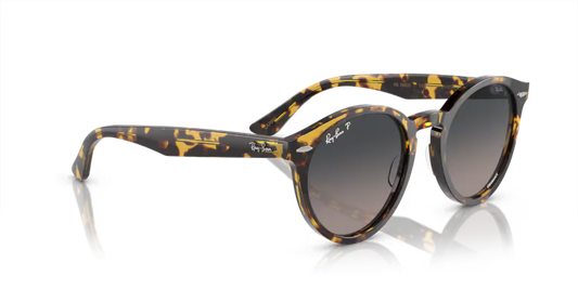 Ray-Ban 0RB7680S