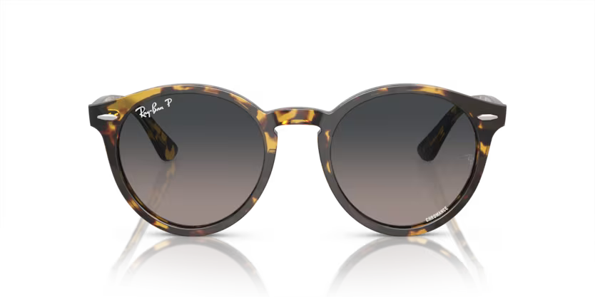 Ray-Ban 0RB7680S