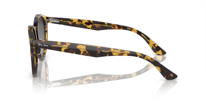 Ray-Ban 0RB7680S