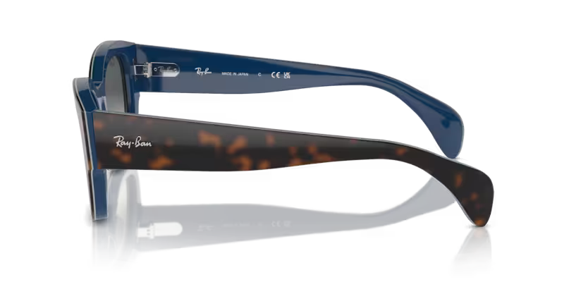 Ray-Ban 0RB7681S