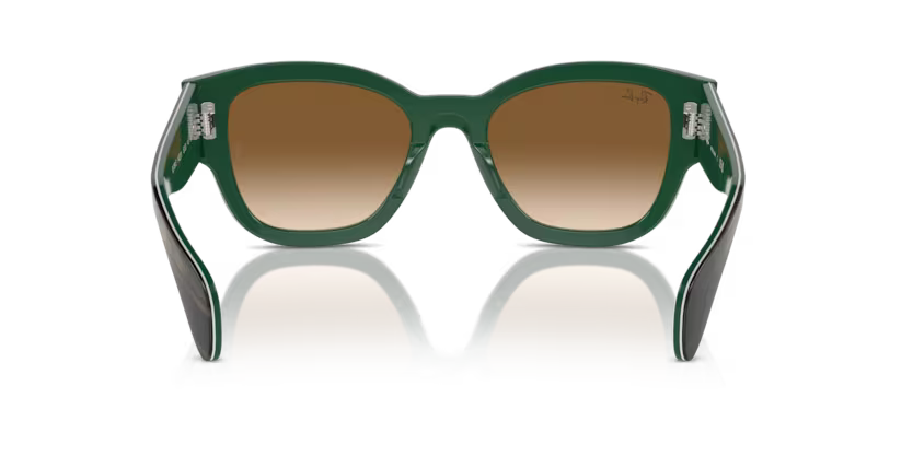 Ray-Ban 0RB7681S