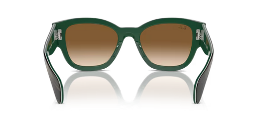 Ray-Ban 0RB7681S