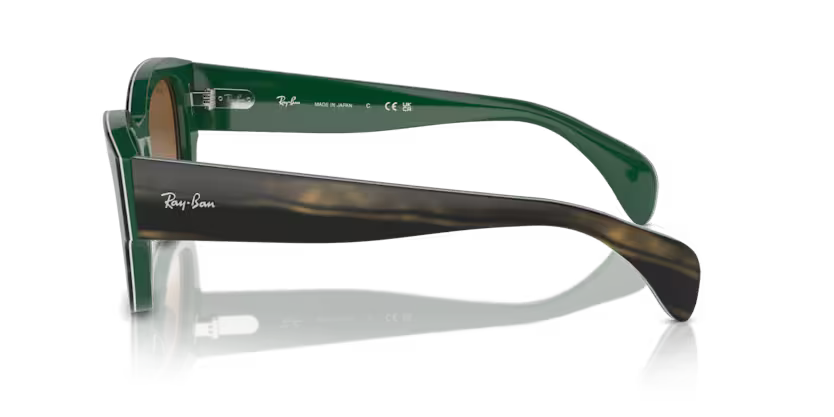 Ray-Ban 0RB7681S