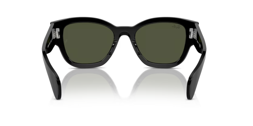 Ray-Ban 0RB7681S
