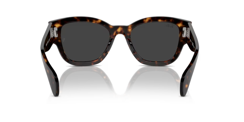 Ray-Ban 0RB7681S