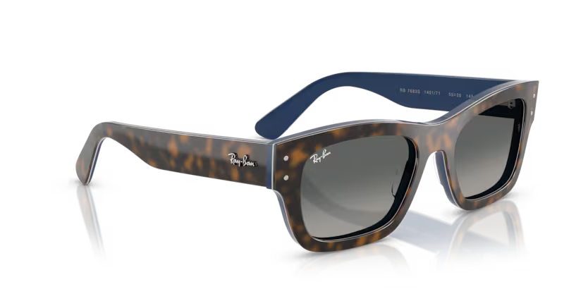Ray-Ban 0RB7683S