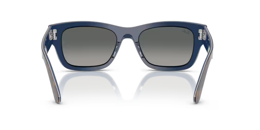 Ray-Ban 0RB7683S