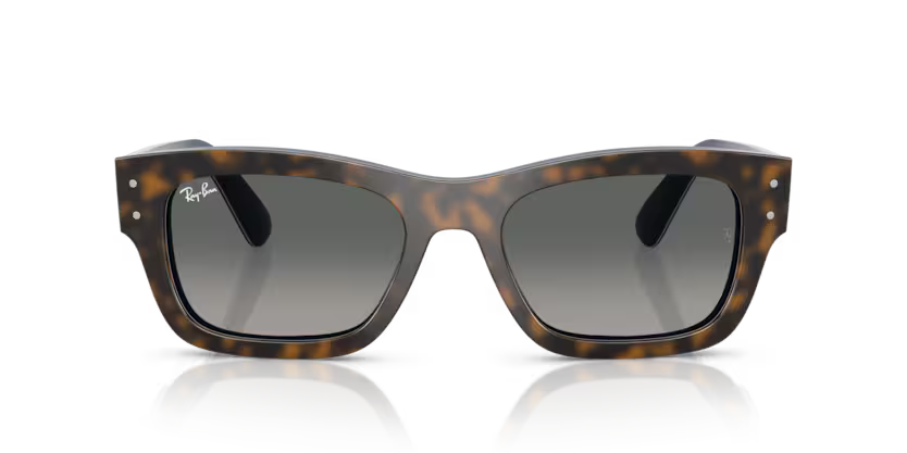 Ray-Ban 0RB7683S