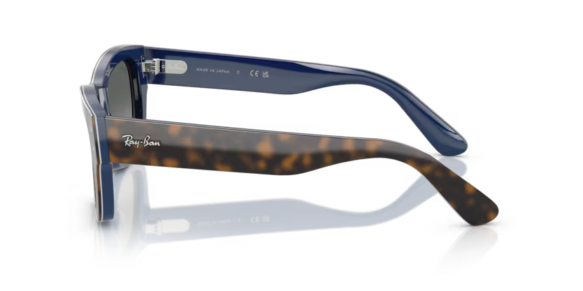 Ray-Ban 0RB7683S