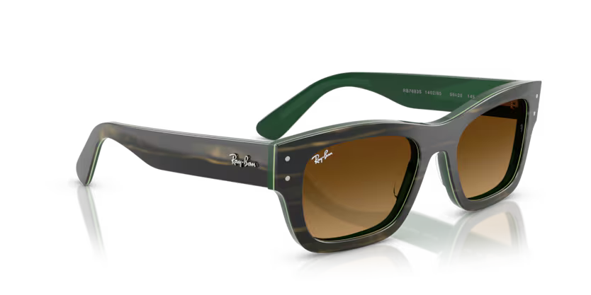 Ray-Ban 0RB7683S
