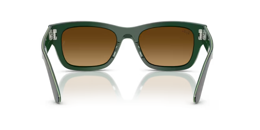 Ray-Ban 0RB7683S