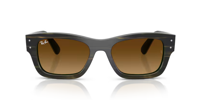 Ray-Ban 0RB7683S