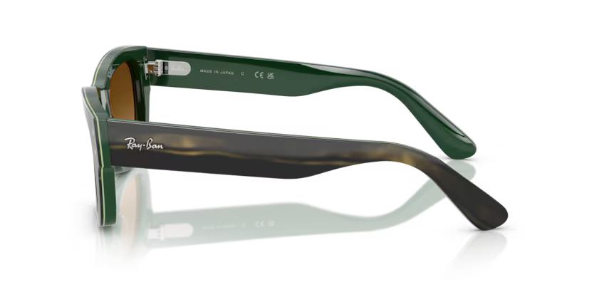Ray-Ban 0RB7683S