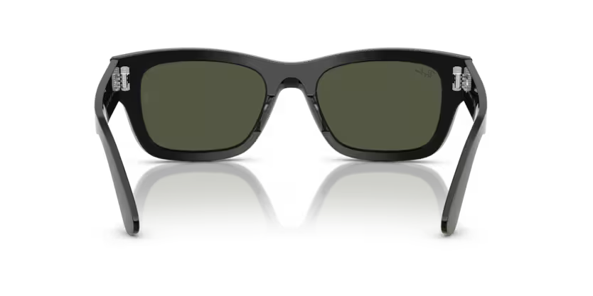 Ray-Ban 0RB7683S