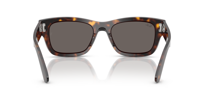 Ray-Ban 0RB7683S