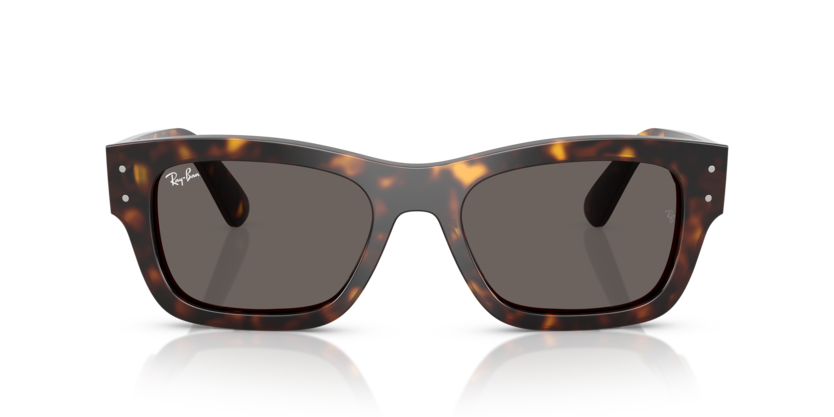 Ray-Ban 0RB7683S