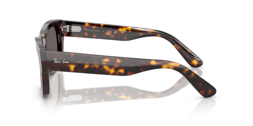 Ray-Ban 0RB7683S