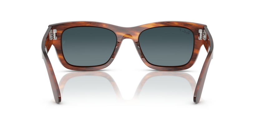 Ray-Ban 0RB7683S