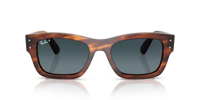 Ray-Ban 0RB7683S