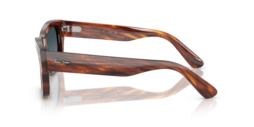 Ray-Ban 0RB7683S