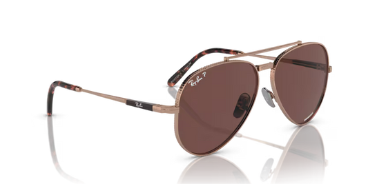 Ray-Ban 0RB8225